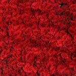 Rode rozen bestellen voor jouw geliefde